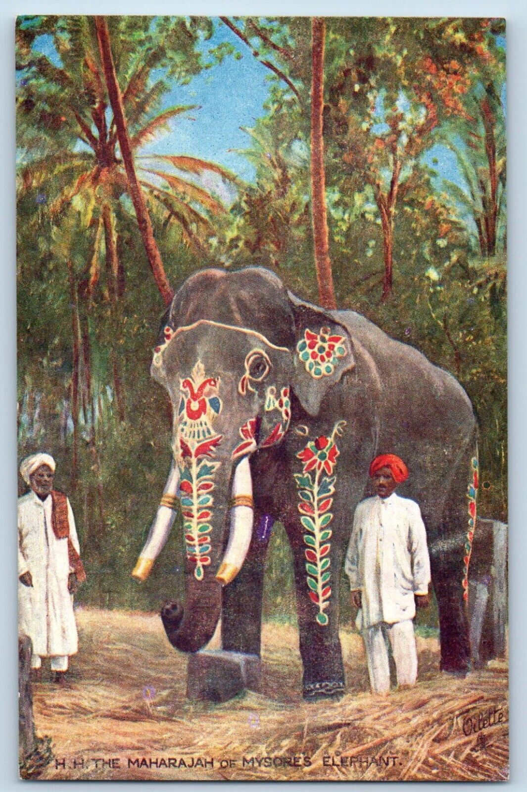 Oilette Postcard The Maharajah Of Mysore\'s Elephant Native Life In India Tuck