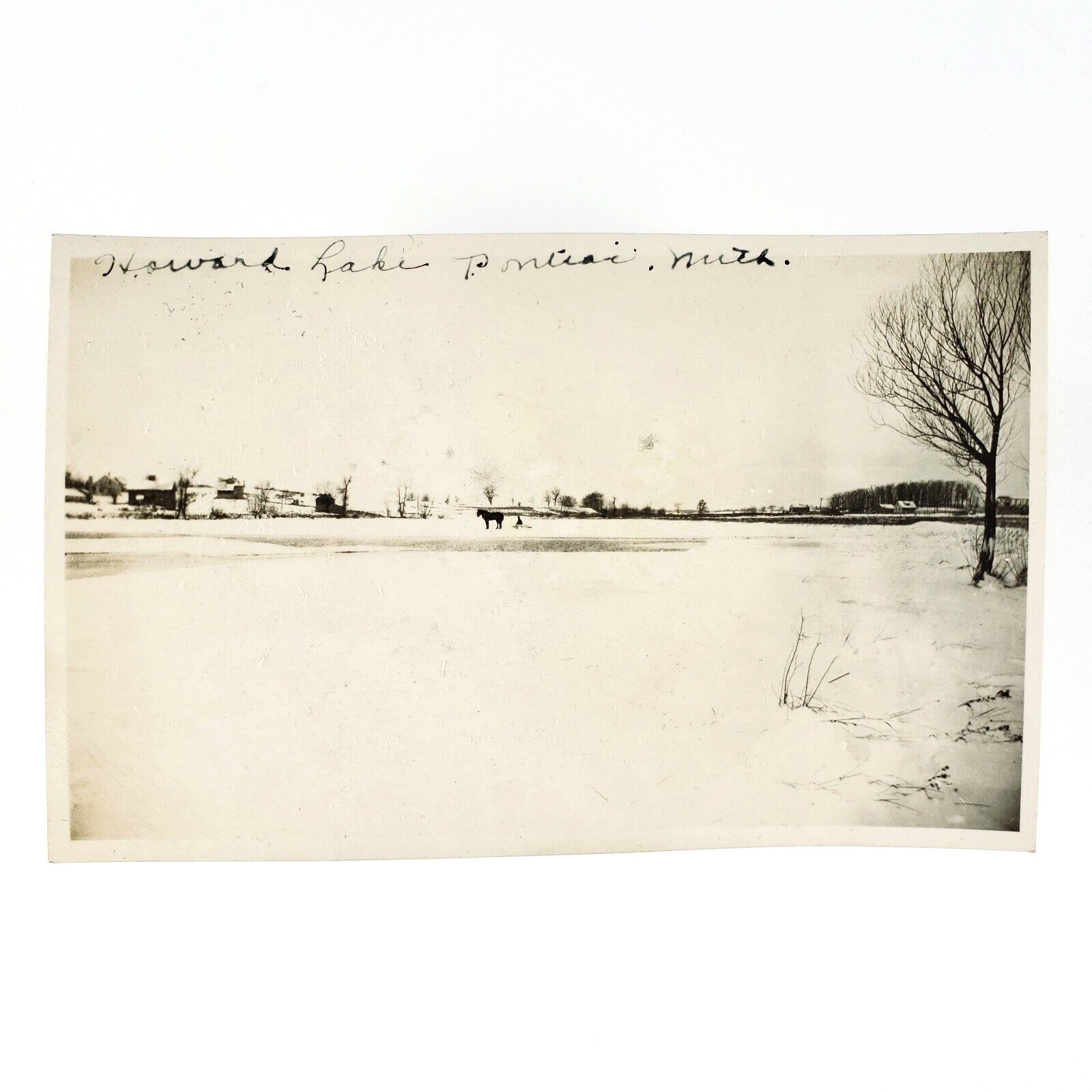 Frozen Howard Lake Pontiac RPPC Postcard 1920s Michigan Horse Sleigh Photo C3357