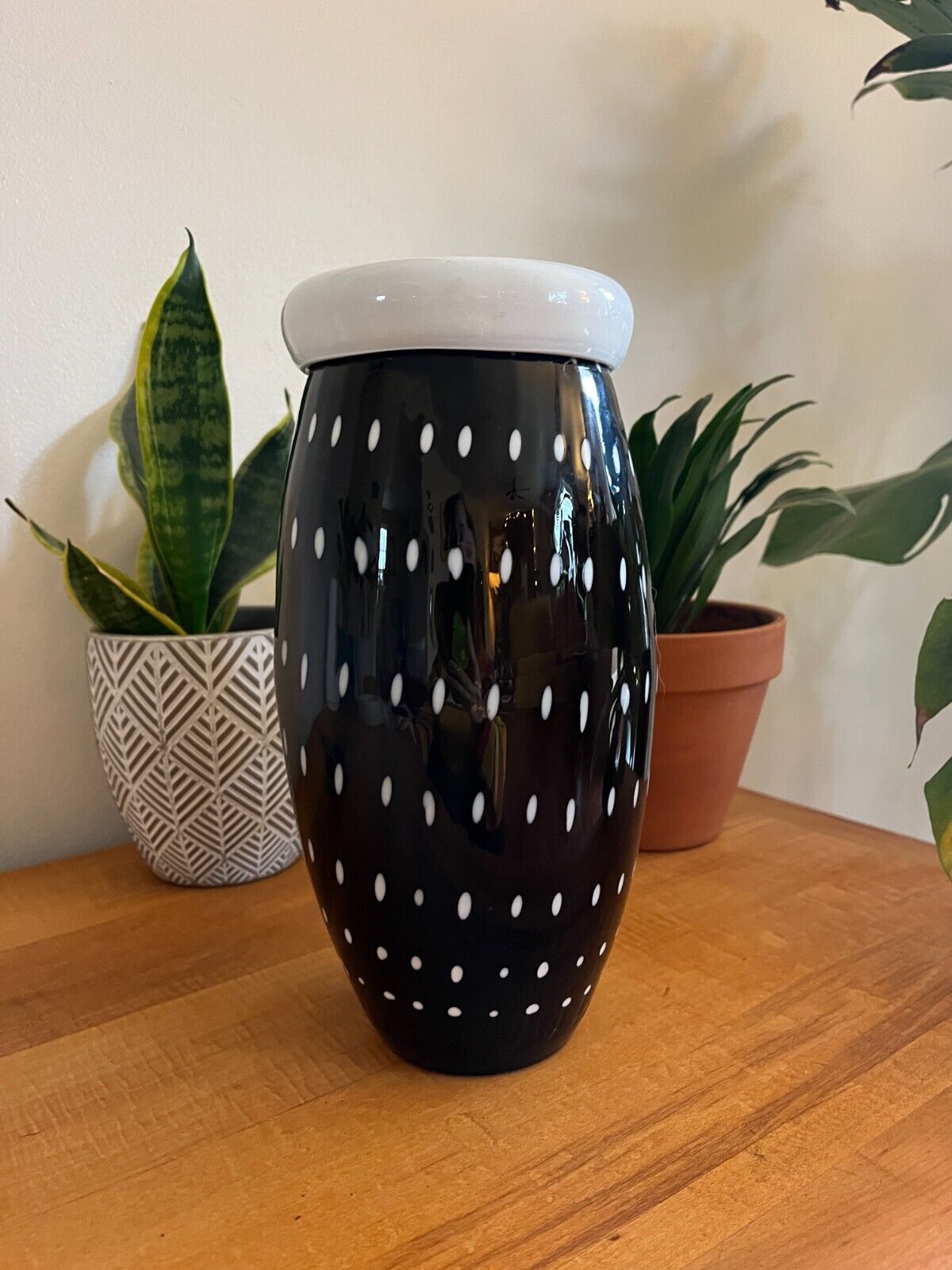 MCM 11 Inch Beautifully Hand Blown Vase. Black with White Dots, White Rim