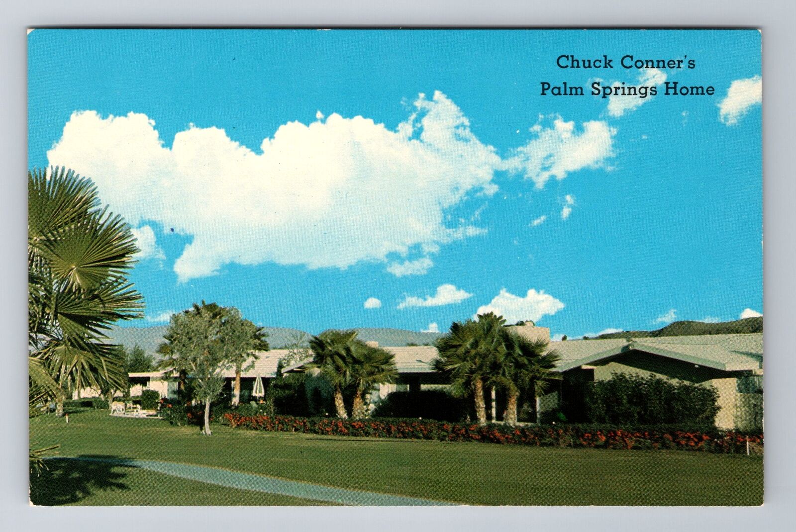 Palm Springs CA-California, Chuck Conner\'s Antique, Vintage Souvenir Postcard