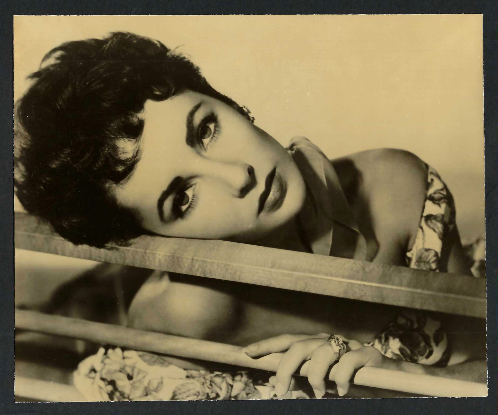ELIZABETH TAYLOR ACTRESS VINTAGE MGM ORIGINAL PHOTO