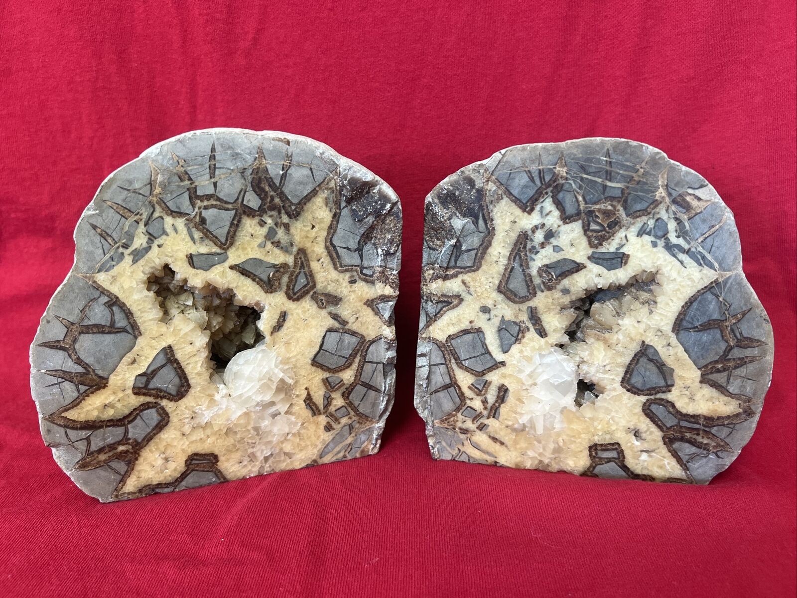 Stunning Septarian Dragon Stone Geode Nodule Natural Specimen Bookends  13+ Lbs