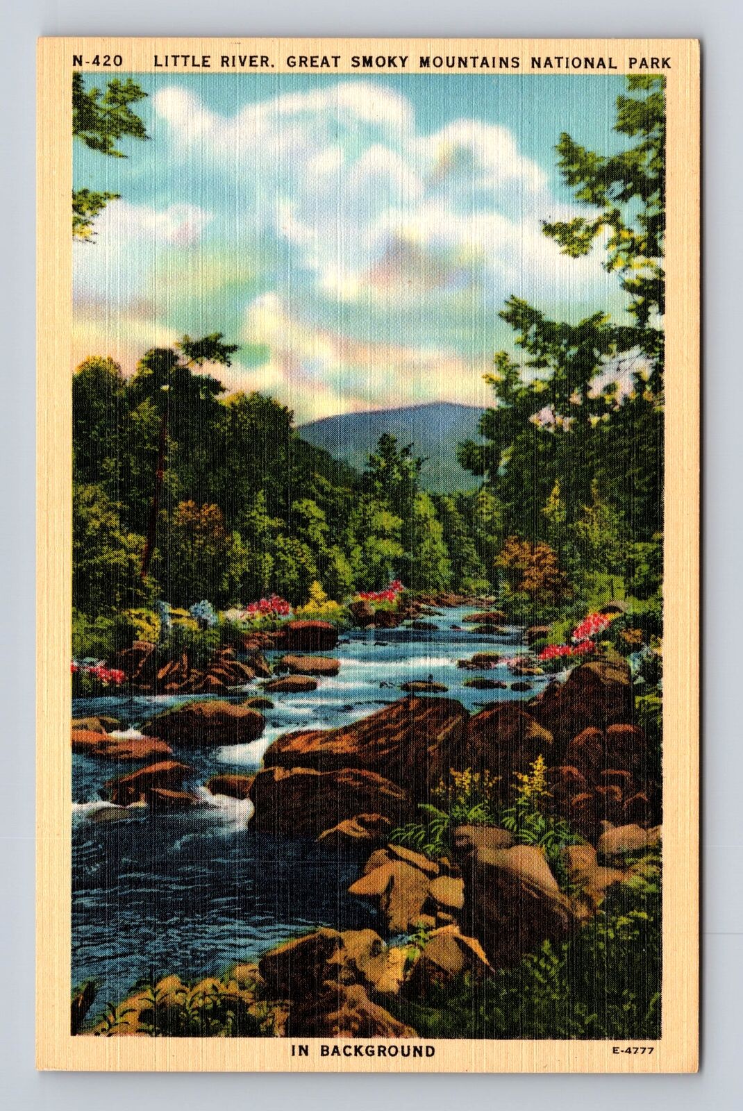 Great Smoky Mountains National Park, TN-Tennessee, Little River Vintage Postcard