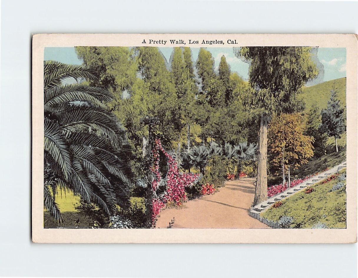 Postcard A Pretty Walk Los Angeles California USA