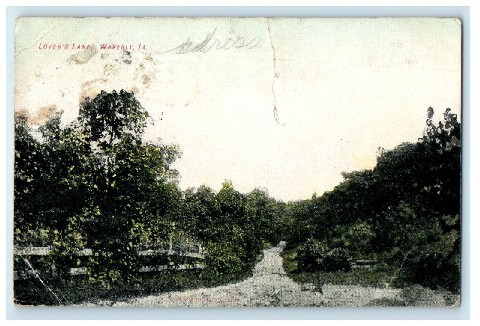 1910 Greenery Scene, Lover's Lane Waverly Iowa IA Antique Posted Postcard