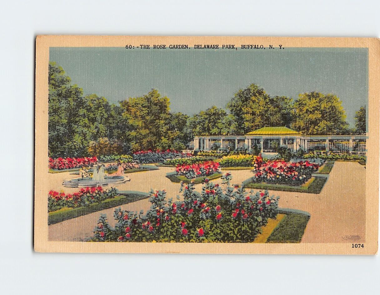 Postcard The Rose Garden Delaware Park Buffalo New York USA