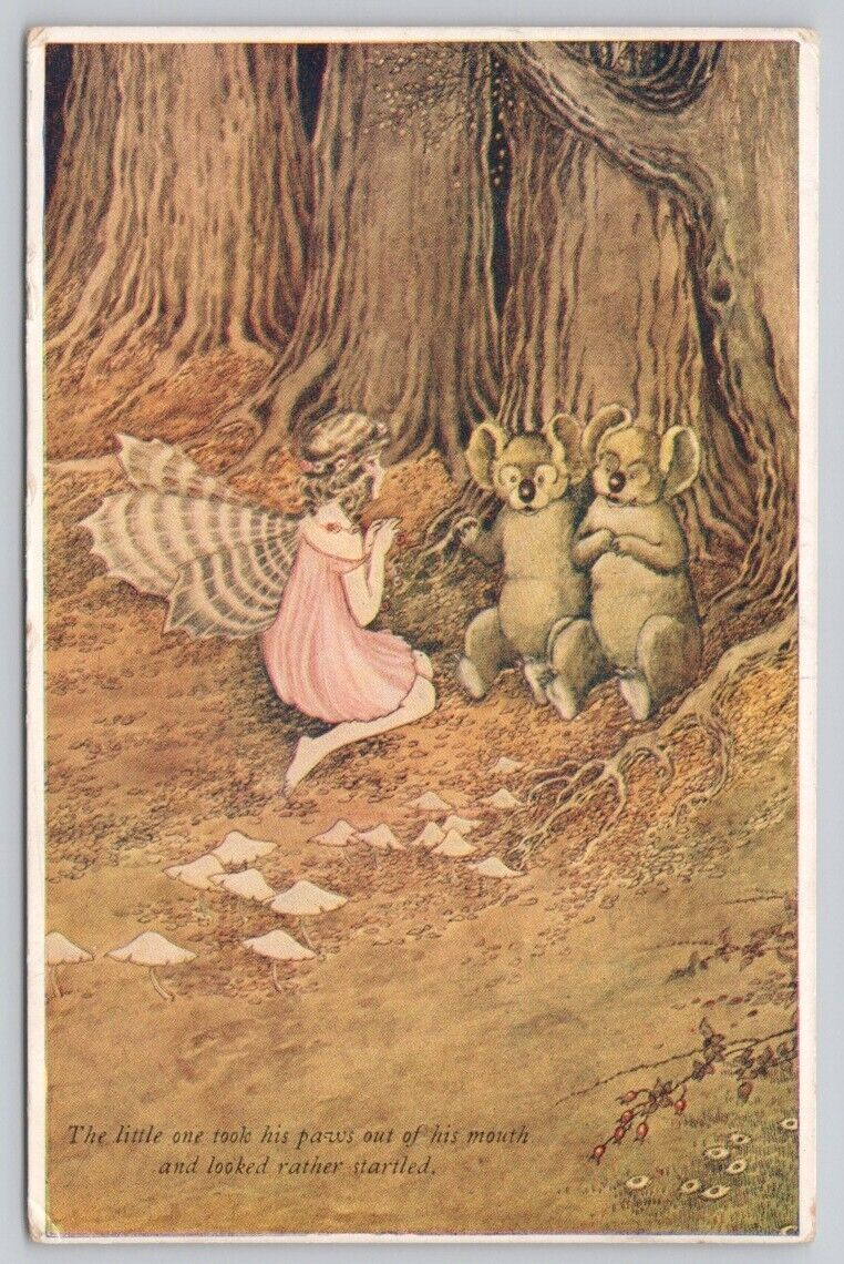 1936 Postcard Elves Fairies Outhwaite A&C Black Series 79 Fairy Sisters Koala