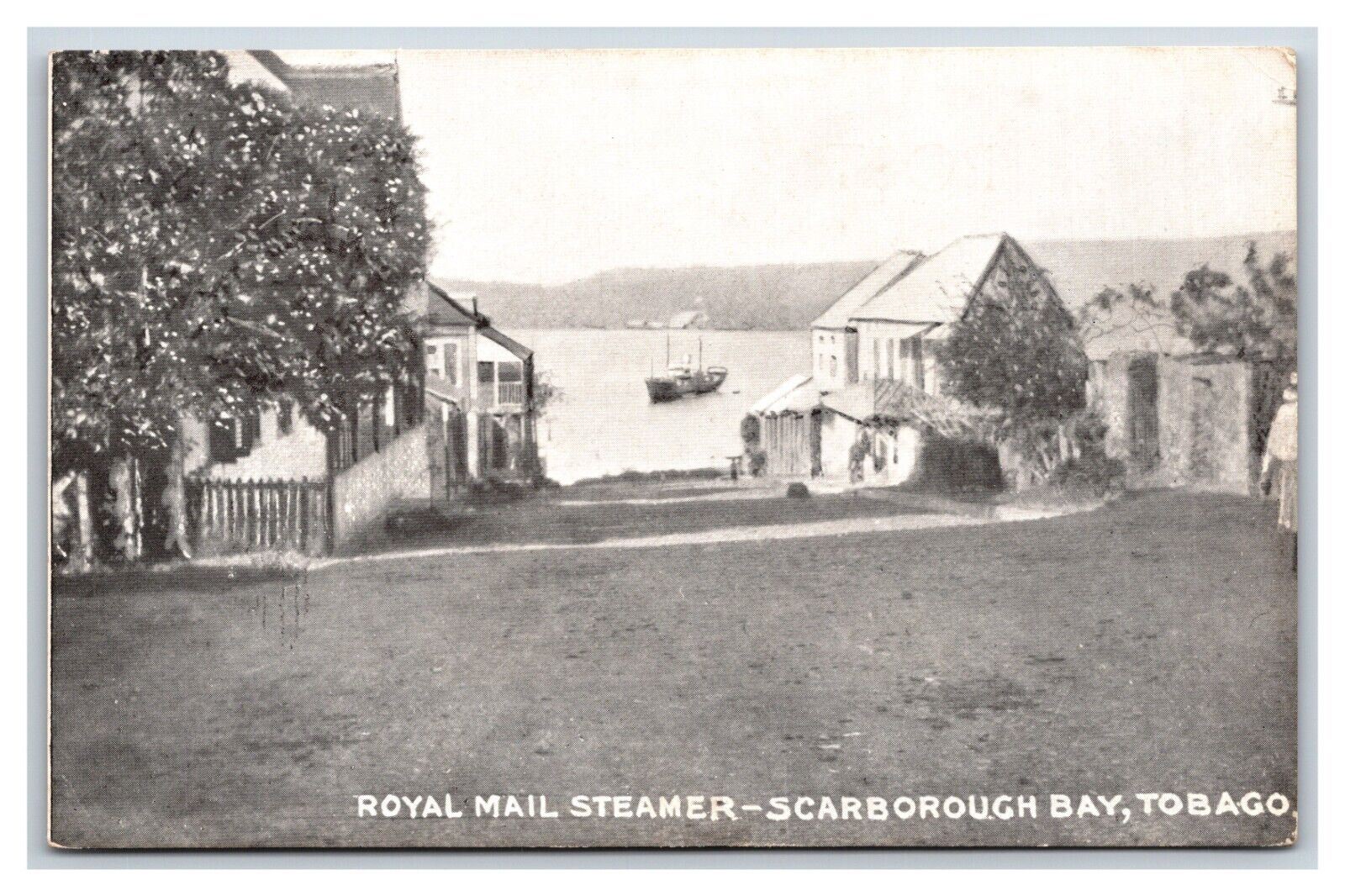 Royal Mail Steamer Scarborough Bay Tobago BWI Miller's Stores UDB Postcard P18