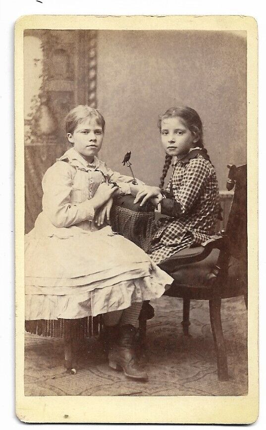 1870s CDV Photograph  Two Little Girls Holding a Bird - J H PHIPPS  Fenton MI