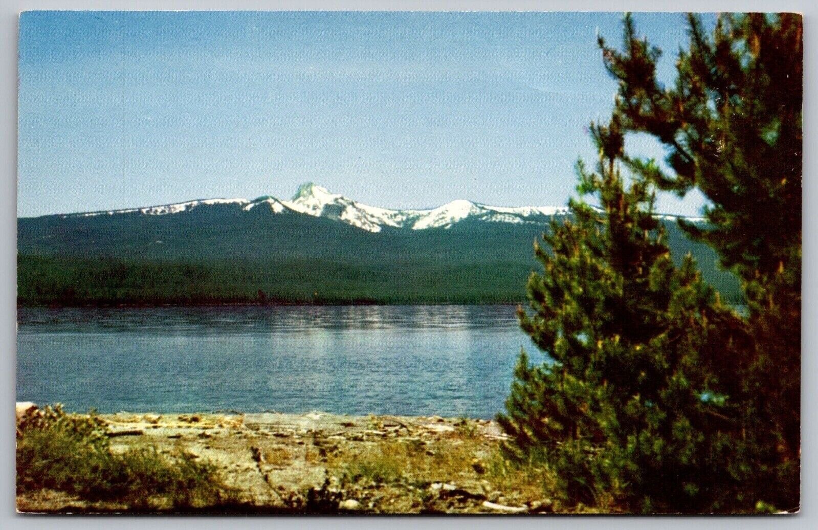 Oregon Crescent Lake Cowhorn Mountain Snowcapped Lakefront Forest UNP Postcard