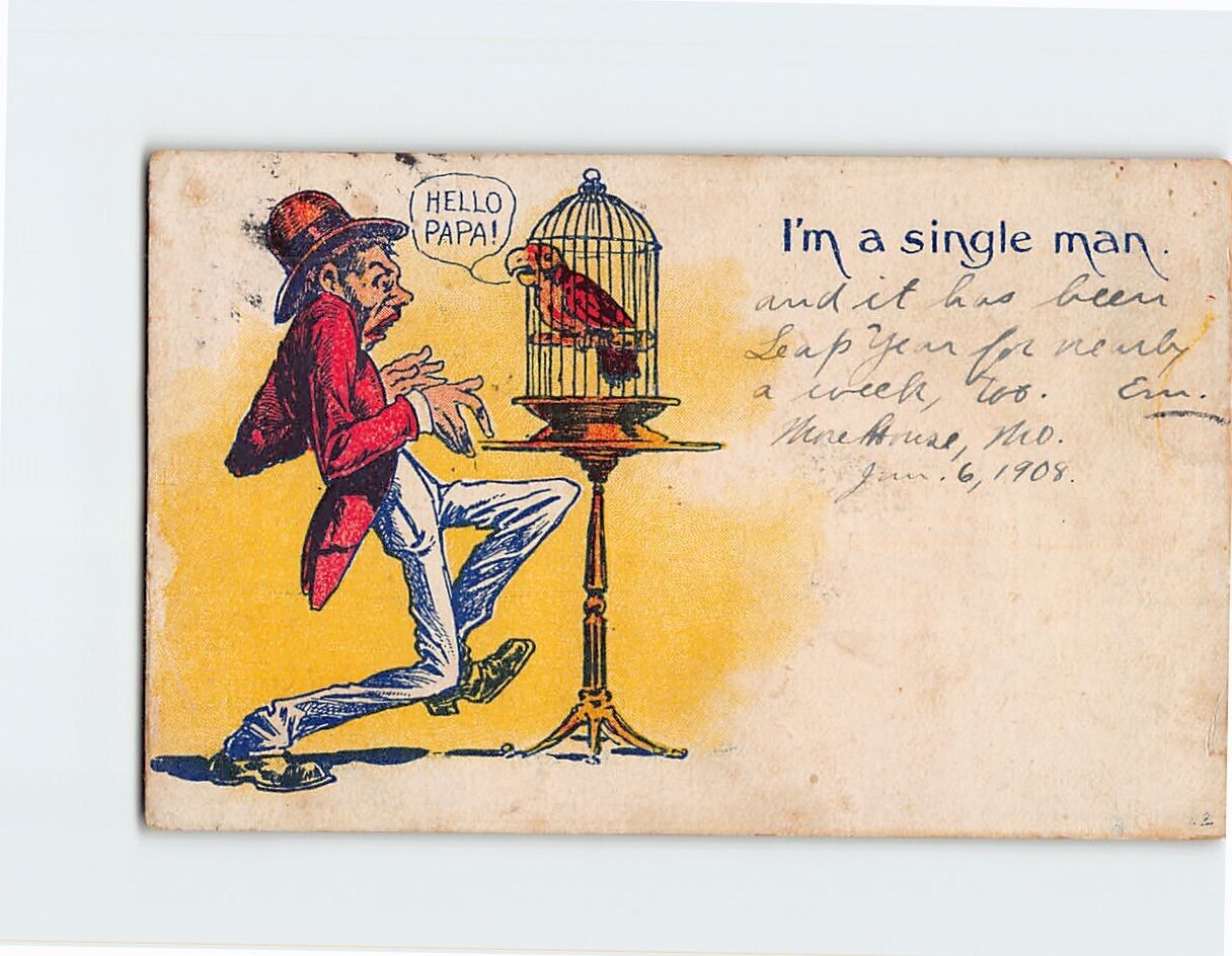 Postcard I'm a single man., with Man Bird Comic Art Print