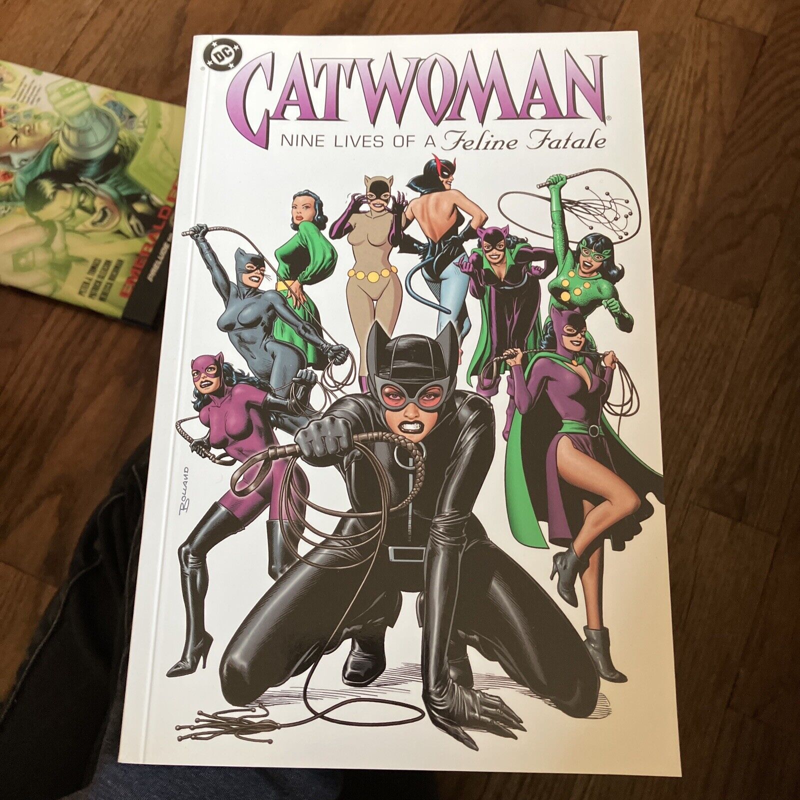 Catwoman: Nine Lives of a Feline Fatale (2004, DC Comics) Brand New