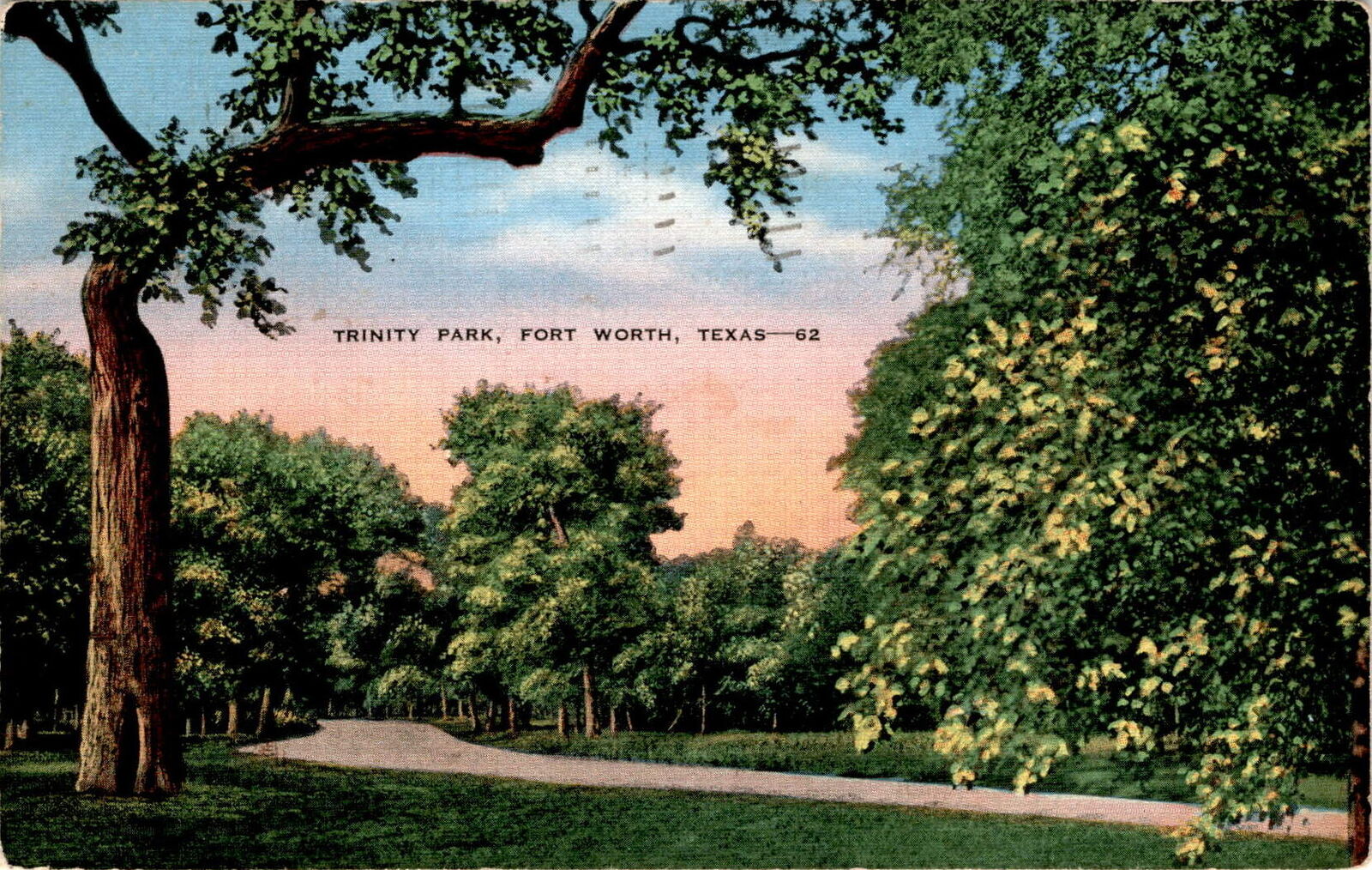 Trinity Park, Fort Worth, Texas, Fort Worth Botanic Garden, Forest Postcard
