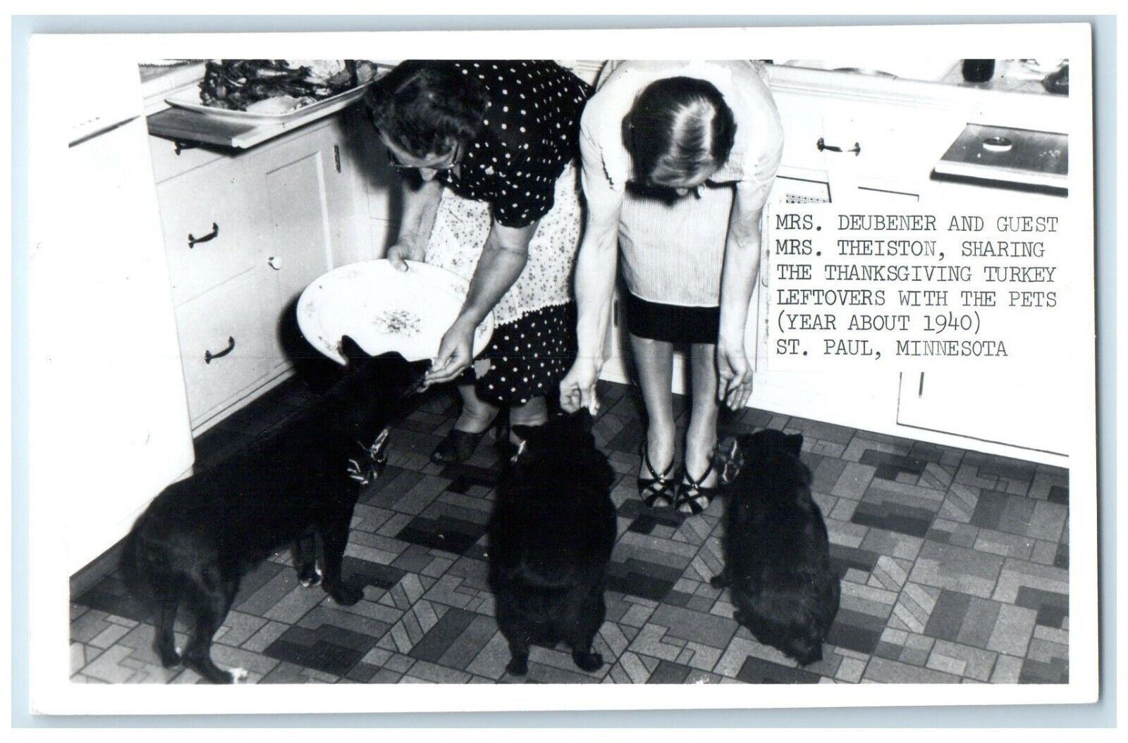 c1950's Mrs. Deubener And Guest Feeding Dogs St. Paul MN RPPC Photo Postcard
