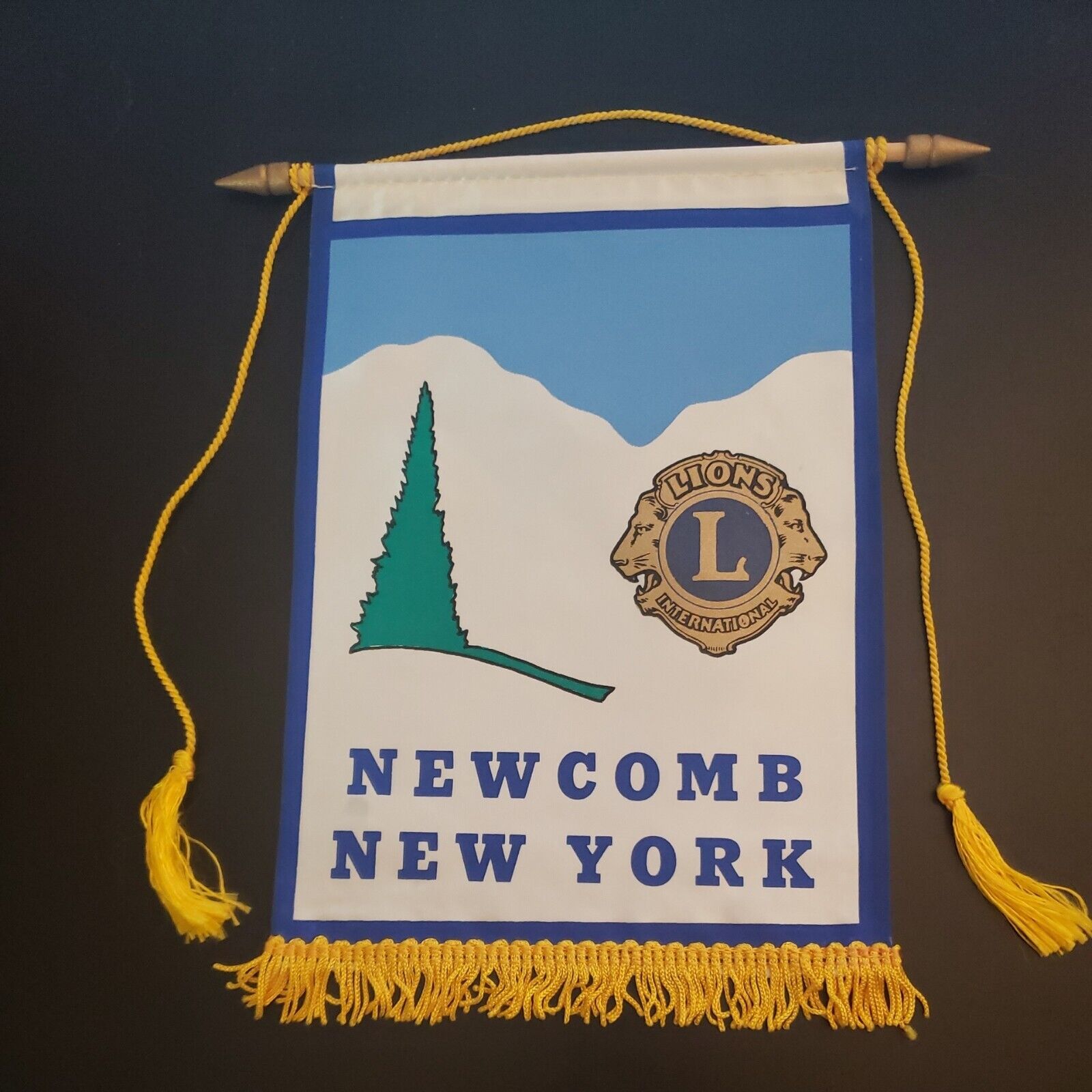 Vintage Lions Club International Banner Flag Newcomb New York