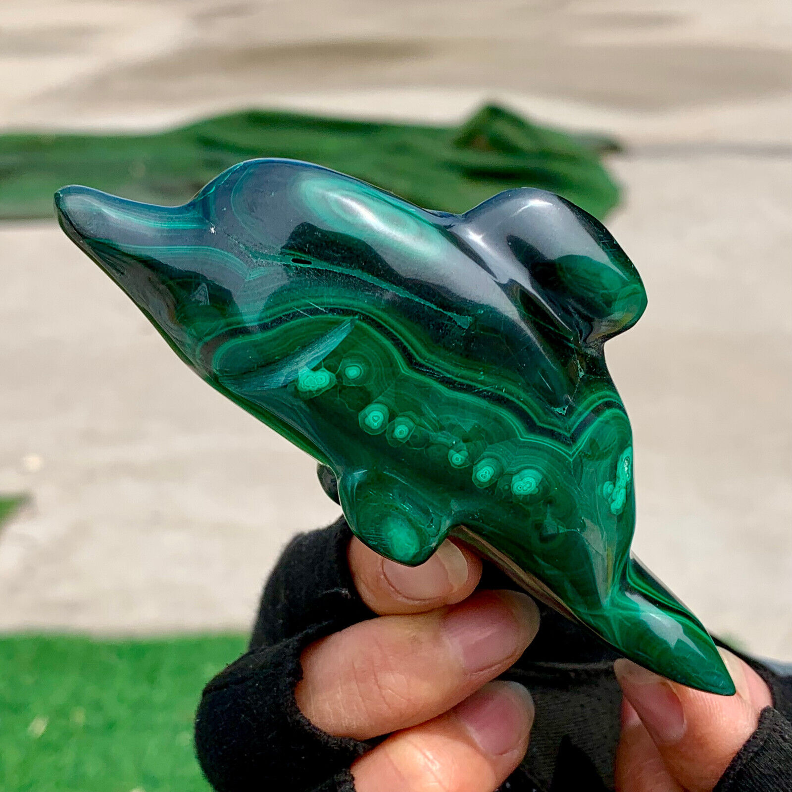 220G Natural glossy Malachite Crystal  Handcarved dolphin mineral sample healing
