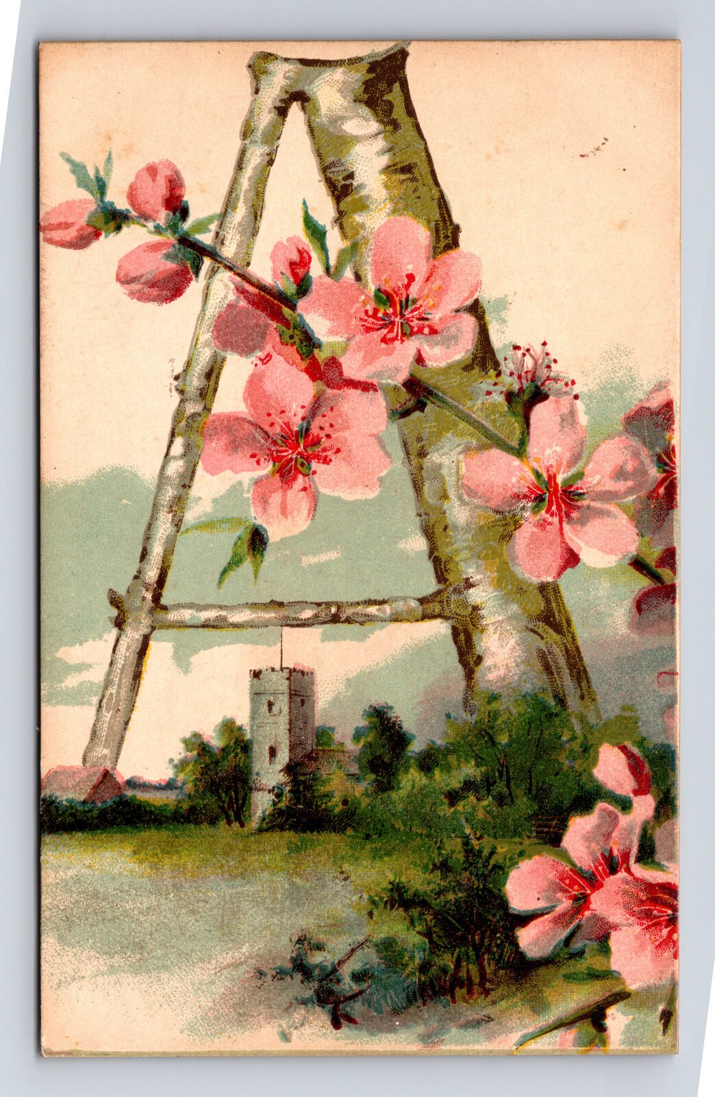 1906 Large Alphabet Letter A White Birch Pink Flowers Blossoms Castle Postcard