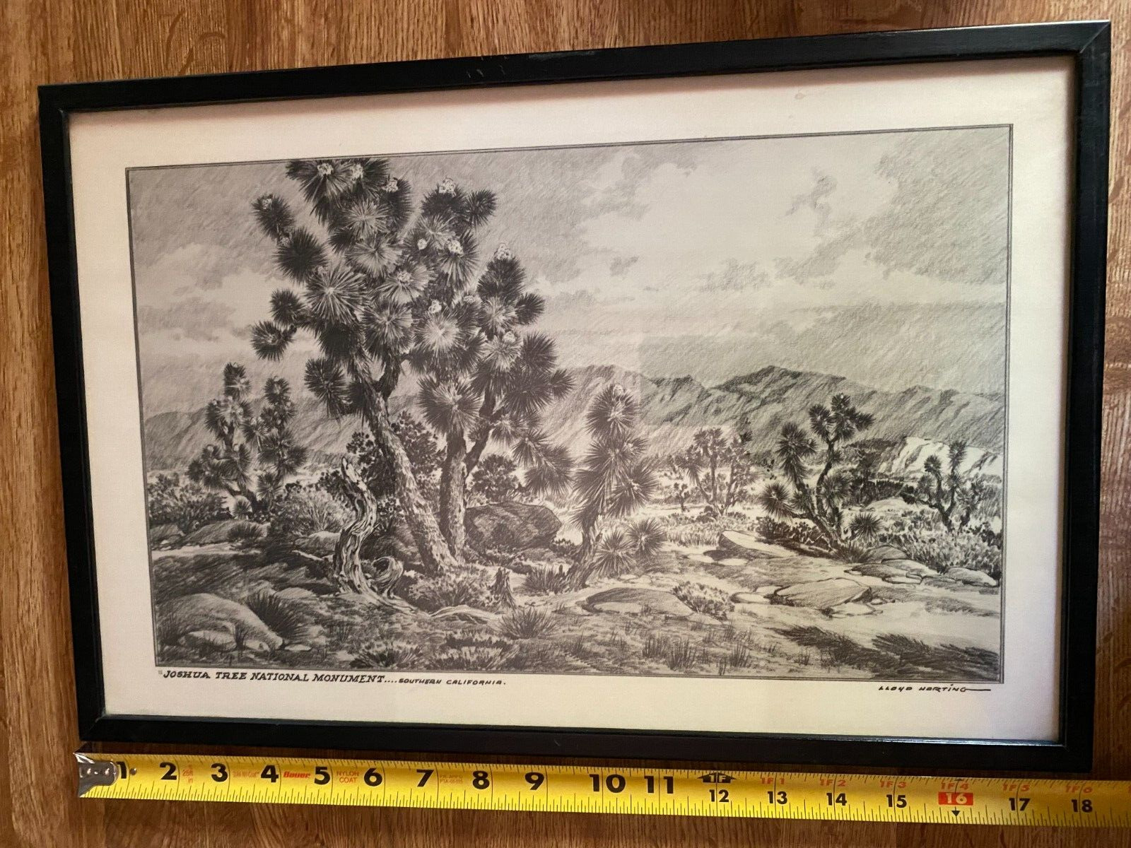 Vintage 1960's Lloyd Harting Joshua Tree National Monument Professionally Framed