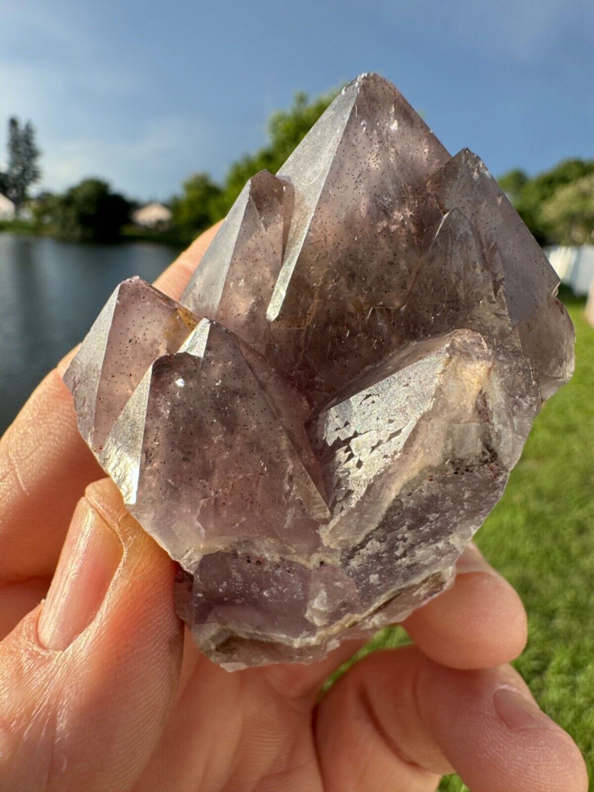 Nice Auralite 23 Crystal Multi Point Phantoms from Canada 120 grams 2.5\