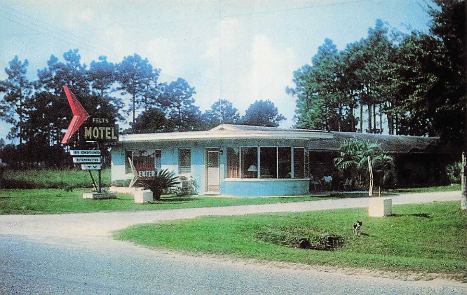 Palatka FL Florida Eva Felts Motel Putnam County Ravine Gardens Vtg Postcard D56