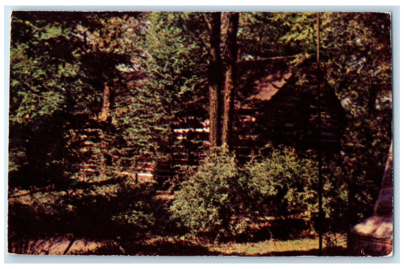c1960's Notre Dame's Log Chapel Exact Replica Notre Dame Indiana Trees Postcard
