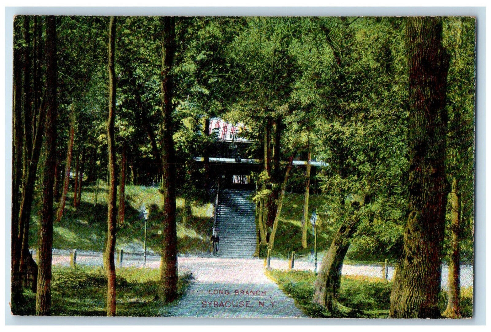 c1910 Greenery Scene Stairs at Long Branch Syracuse New York NY Postcard