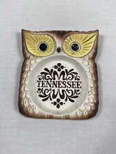 Vintage Ceramic Owl Souvenir Ashtray By Scotty Tennessee Owl MCM pattern picture