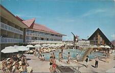 Postcard The Castaways Miami Beach FL 1963 Swimming Pool  picture