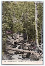 c1910's Lost River Near Entrance In White Mountains North Woodstock NH Postcard picture