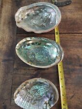AWESOME lot of 3 MOP Mother of Pearl shells Iridescent  picture