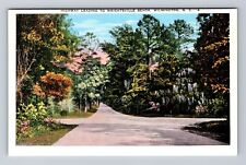 Wilmington NC-North Carolina, Highway, Wrightsville Beach, Vintage Postcard picture