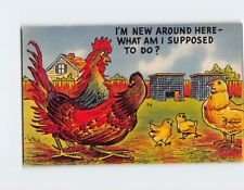 Postcard I'm New Around Here-What Am I Supposed To Do?, Chickens Comic Art Print picture
