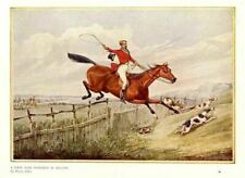 FOXHOUNDS HORSES HUNTING FOX, ANTIQUE COLOR HUNT PRINT picture
