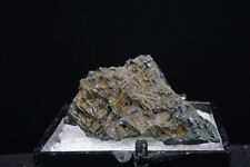 Bornite / Thumbnail Mineral Specimen / Butte, Montana picture