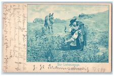 1899 Love Romance Donkey In Field Witness Germany Posted Antique Postcard picture