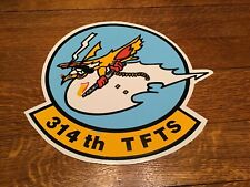 Rare Vintage USAF 314th TFTS Squadron 10
