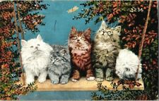 1913. CATS ON A SWING. POSTCARD t6 picture