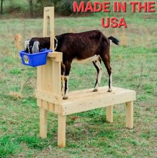 Goat Hoof & Milk Stand for Dwarf & Pygmy Goats 32-inch Hand-Crafted Natural Pine picture
