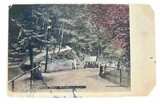 Ross Park. Binghamton New York Vintage Postcard picture