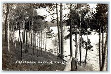 c1940's View Of Esquagama Lake Aitkin Minnesota MN RPPC Photo Vintage Postcard picture