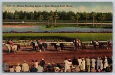 Hialeah Park Horses Parading for Race Miami FL Florida Postcard  picture