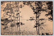 c1910s Belknap Mountains Pot Isalnd Winnisquam Lake NH Antique Postcard picture