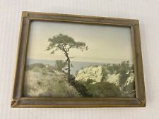 Hand Colored Photo Torrey Pines Korin California Views 1910s-20s Antique Frame picture