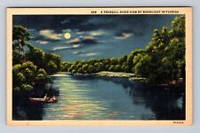 FL-Florida, Tranquil River View By Moonlight, Antique, Vintage Postcard picture