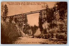 Missoula Montana MT Postcard Fish Creek Trestle High Couer D'Alene c1910 Vintage picture