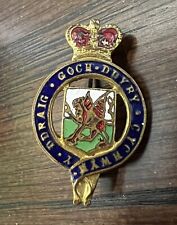Rare Welsh Pin, ca. 1953 - 1959 picture