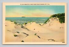 Postcard Sand Dunes in Panama City Florida FL, Vintage Linen L8 picture