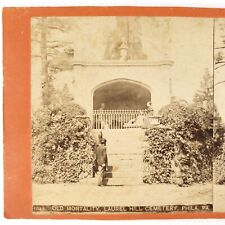 Laurel Hill Cemetery Statue Stereoview c1865 Philadelphia Old Mortality Art G831 picture