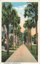 St Augustine FL Florida, Palm Row, Vintage Postcard picture