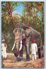 Oilette Postcard The Maharajah Of Mysore's Elephant Native Life In India Tuck picture